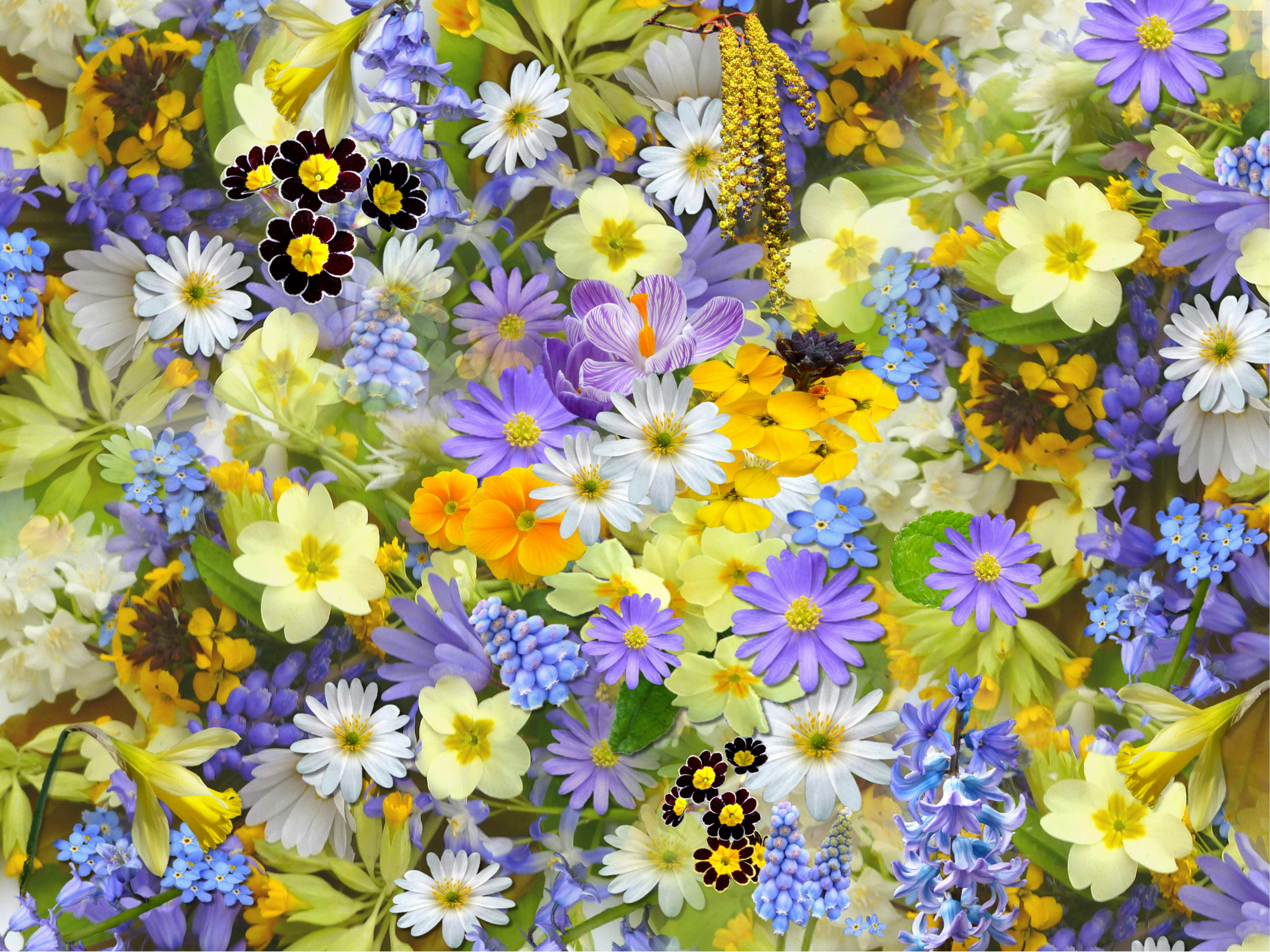 Flower Wallpaper Images  Free Download on Freepik